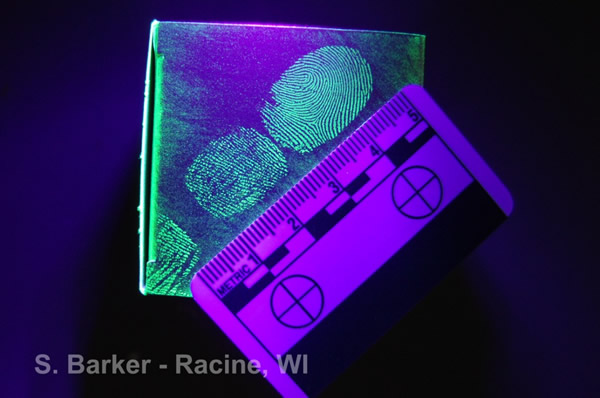 UV Photography - Fluorescing Fingerprints